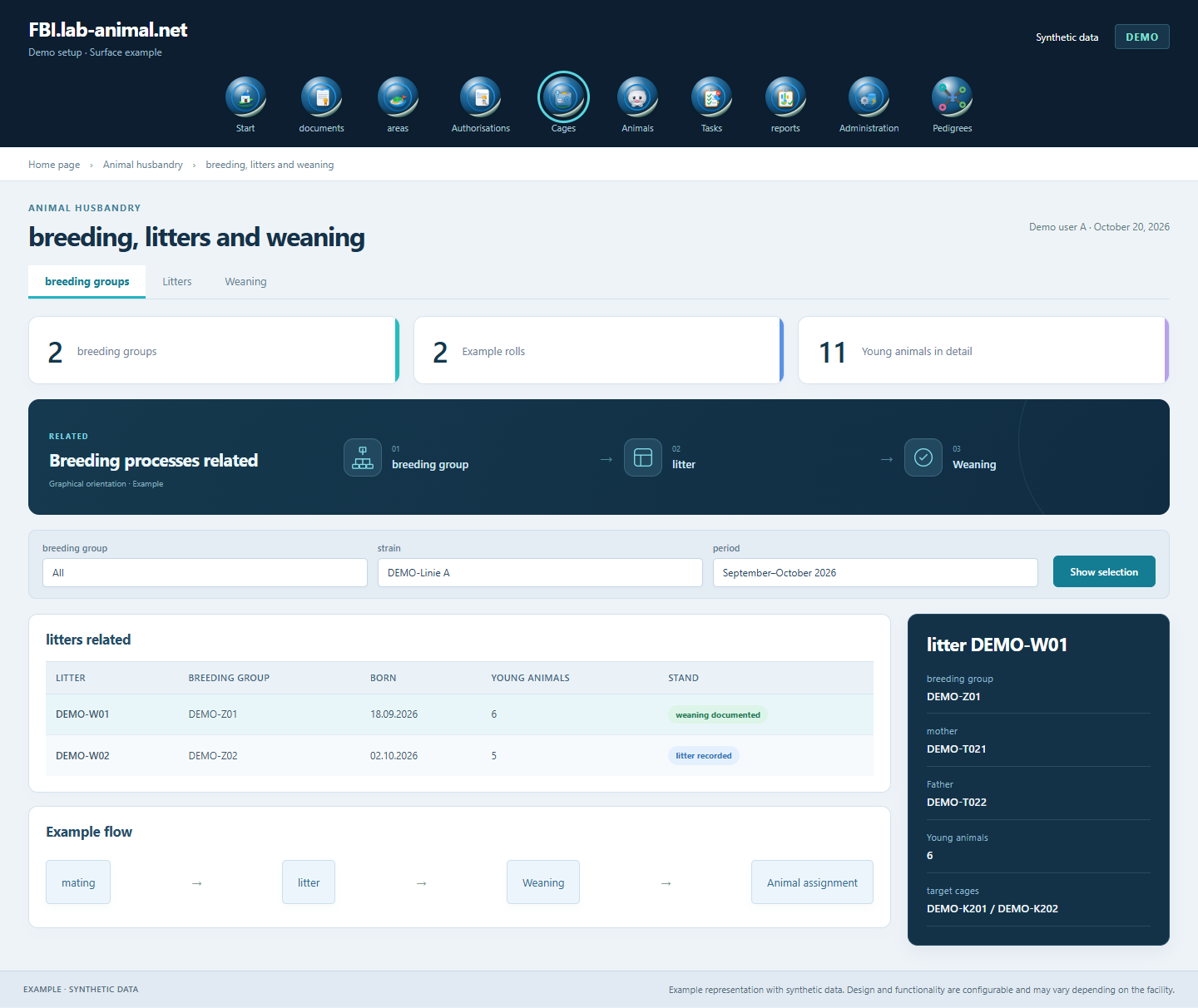Example interface with synthetic data · breeding, litters and weaning: pairing, litter and assignment with weaning form a comprehensible process.